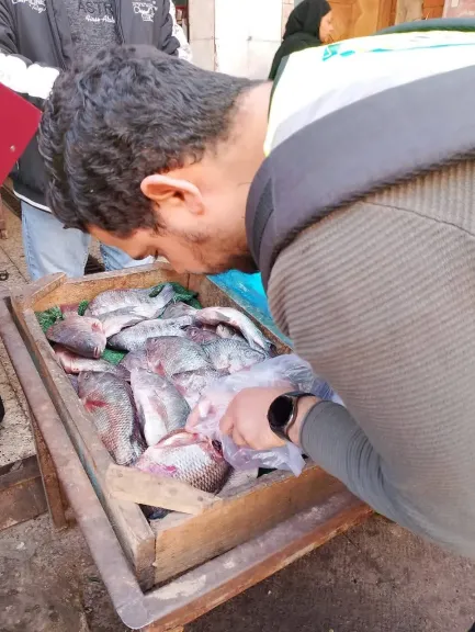 طن ملح و475 كيلو زبدة وتونة مهربة.. تموين القليوبية يضبط مخالفات بالجملة