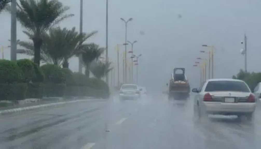 شبورة كثيفة وأمطار.. الأرصاد تحذر من طقس اليوم الأربعاء