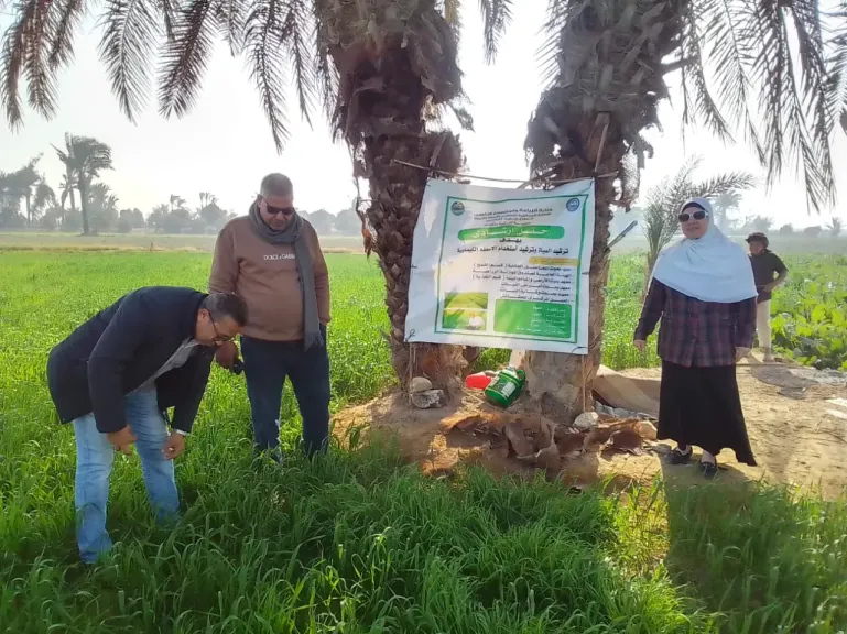زراعة الفيوم تنفذ حقلين إرشاديين لمحصول القمح موسم 2025 / 2026 لدعم المزارعين وترشيد الموارد