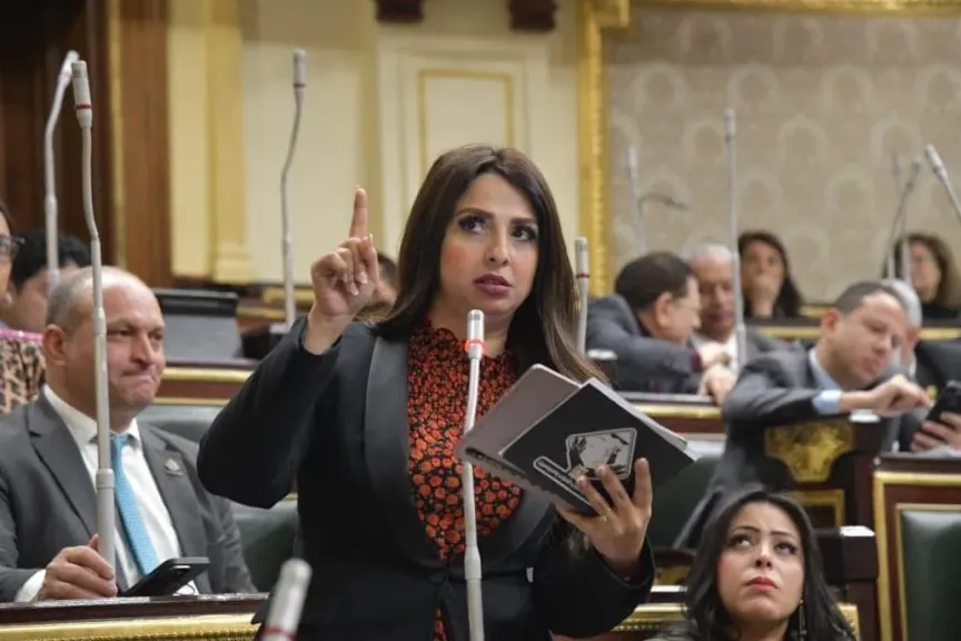 برلمانية تطالب الحكومة بتفعيل قرار الاستفادة من حملة الماجستير والدكتوراه: إهدار العقول أخطر من إهدار المال العام