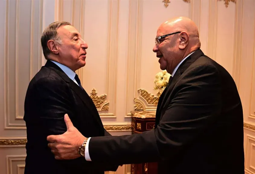  المستشار هشام بدوي