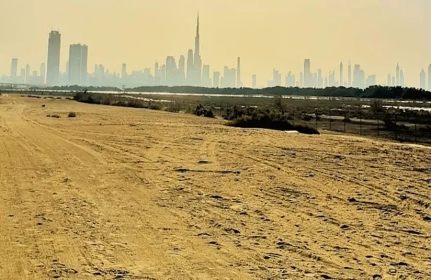 تل أبيب وواشنطن تعتزمان إنشاء حديقة تكنولوجية عملاقة في جنوب إسرائيل