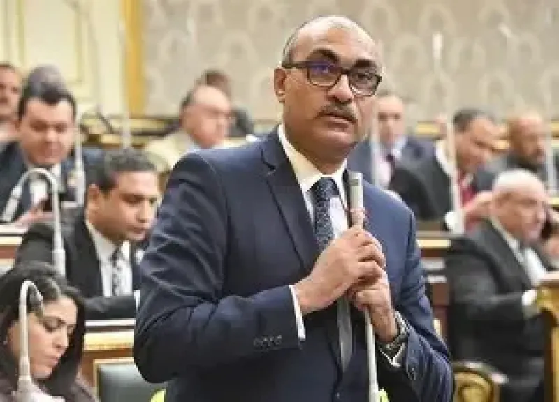 وكيل «قوى عاملة النواب» لـ”النهار”: ضرائب الهواتف تُحمّل الأسر العائدة أكثر من 100 ألف جنيه دون مبرر