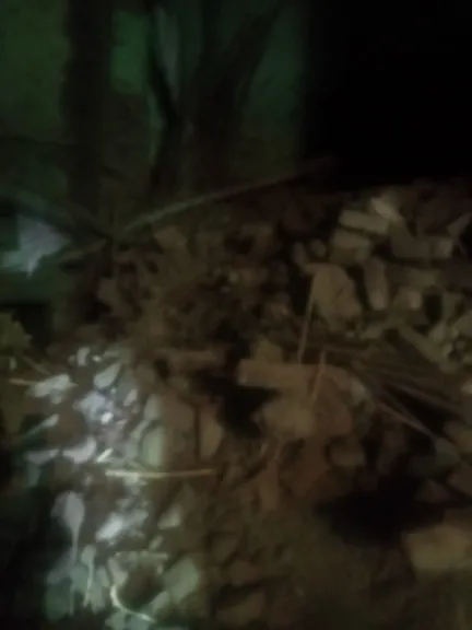 تم فرض كردون أمني.. إخلاء منزل من سكانه بعد انهيار آخر مكون من طابقين في قنا