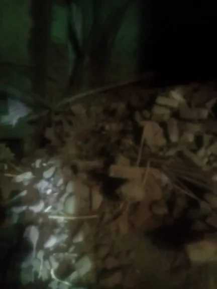 تم فرض كردون أمني.. إخلاء منزل من سكانه بعد انهيار آخر مكون من طابقين في قنا