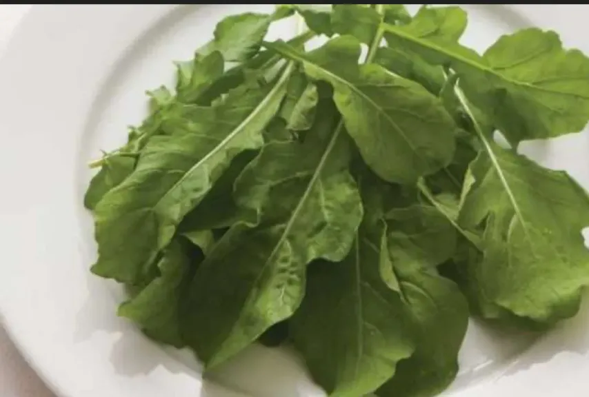 الجرجير.. السر الخفي لعظام أقوى من الفولاذ