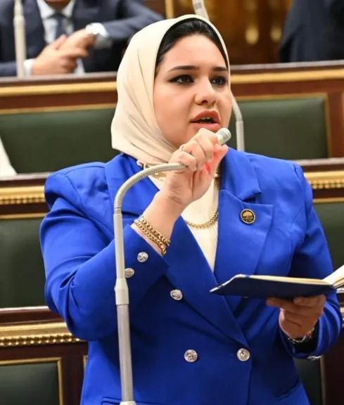 وكيل القوى العاملة بالنواب: نرفض إلغاء الإعفاء الجمركي على الهواتف المحمولة