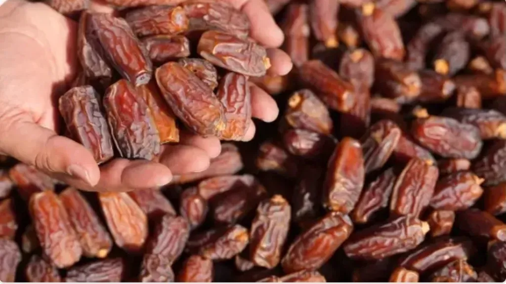 كشف حقيقة استيراد التمور الإسرائيلية قبل شهر رمضان