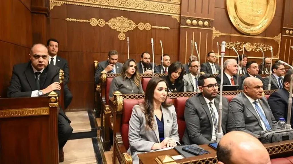 نائبة التنسيقية: مناقشات مجلس الشيوخ حول الإنترنت خطوة أساسية لحماية الأطفال