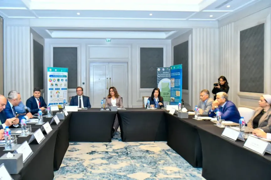 منال عوض : حلول تكيف قابلة للتنفيذ ضمن إعداد الخطة الوطنية للتكيف