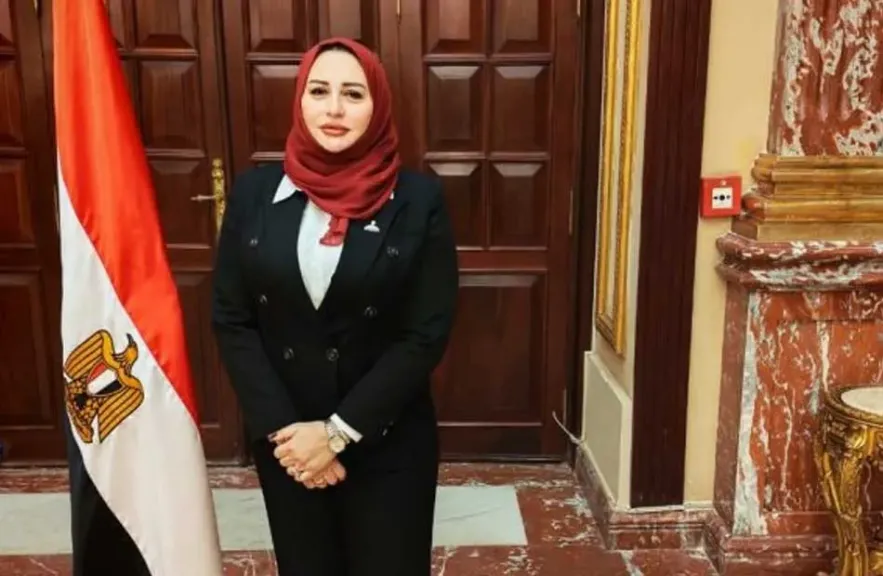 النائبة شيرين صبري