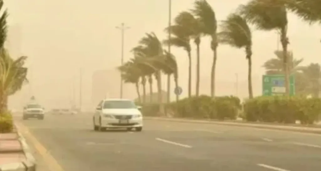 شبورة كثيفة ورياح مثيرة للرمال.. الأرصاد تحذر من طقس الخميس