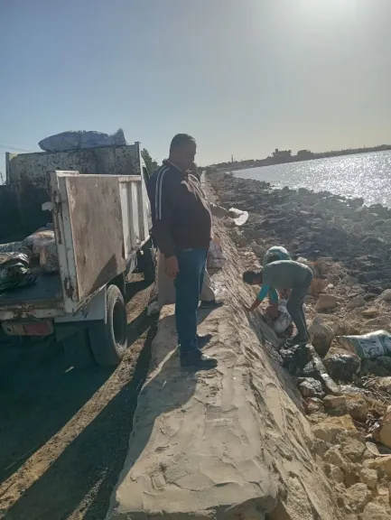 رصد دواجن نافقة بنطاق قرية السعيدية بالفيوم.. ولجنة لمراجعة تراخيص مزارع الدواجن بالمناطق المحيطة