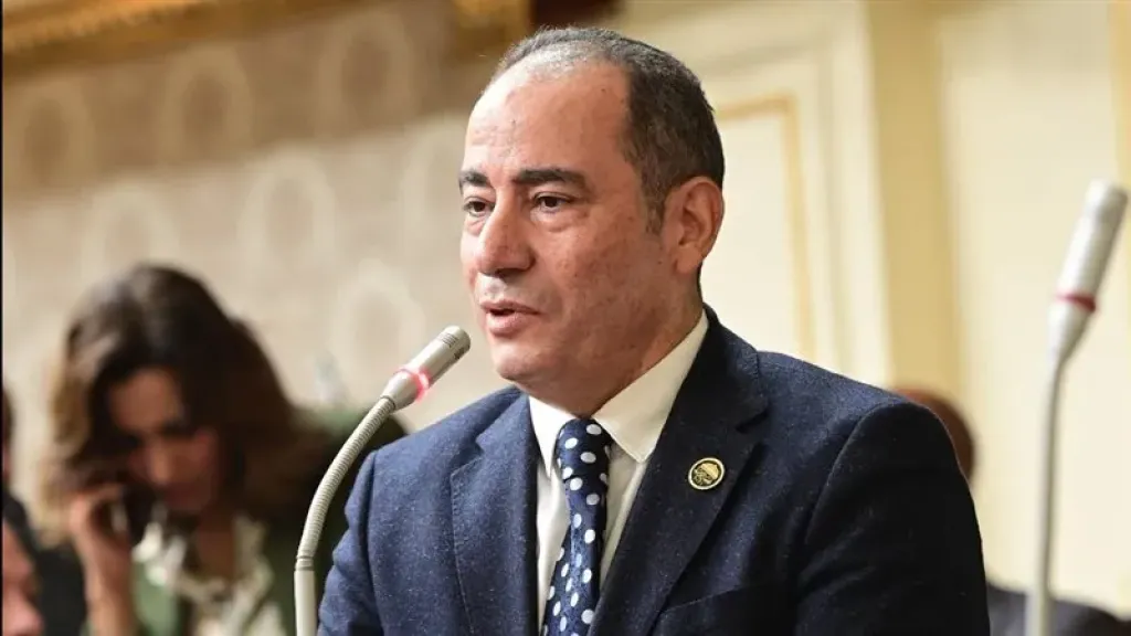 مجاهد نصار: المنتدى المصري–التركي يعزز فرص الاستثمار ويدفع التعاون في قطاع النقل البحري