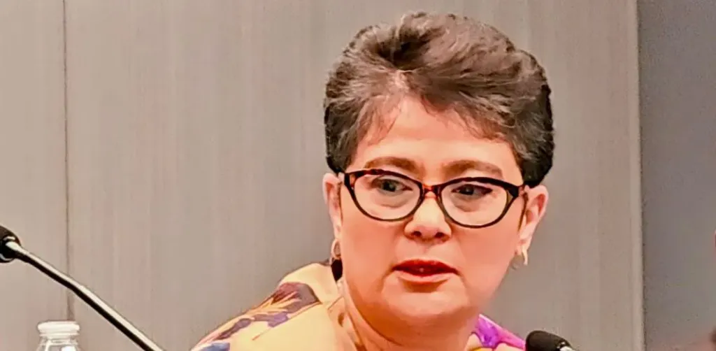 نميرة نجم: “يجب فرض حصص إلزامية لتعيينات المرأة في الوظائف العليا بالأمم المتحدة”