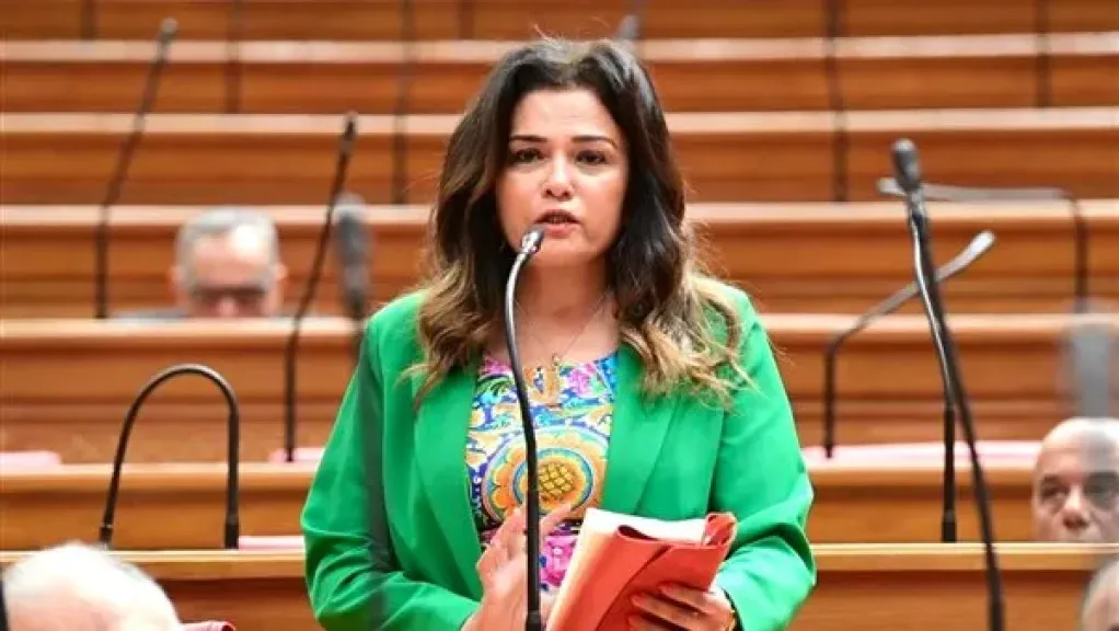 رئيسة سياحة النواب: نتابع تداعيات أزمة تأخر إقلاع الطائرات .. وسلامة المسافرين أولوية قصوى