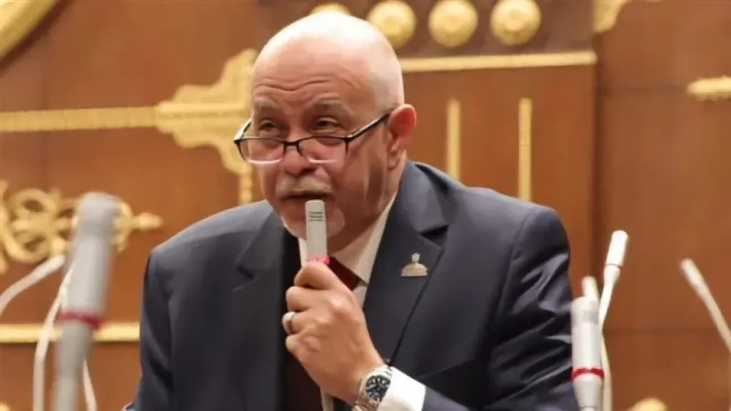 النائب حازم الجندي يقترح إنشاء صندوق معاش للمصريين بالخارج