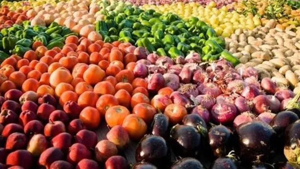 الشرقاوي: الصادرات الزراعية المصرية أمام اختبار حاسم مع تطبيق معايير الاتحاد الأوروبي «من المزرعة إلى المائدة»