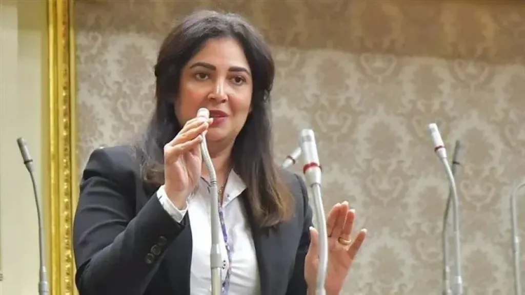 النائبة أميرة العادلي