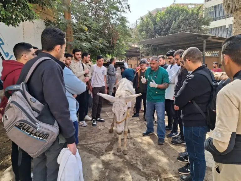 ”جامعة بنها” تطلق قافلة بيطرية توعوية داخل المستشفى التعليمي