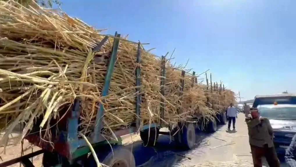 محافظ قنا يضبط جرارًا مخالفًا يسحب 4 مقطورات محملة بالقصب ويشدد على تكثيف المتابعة ورصد المخالفين