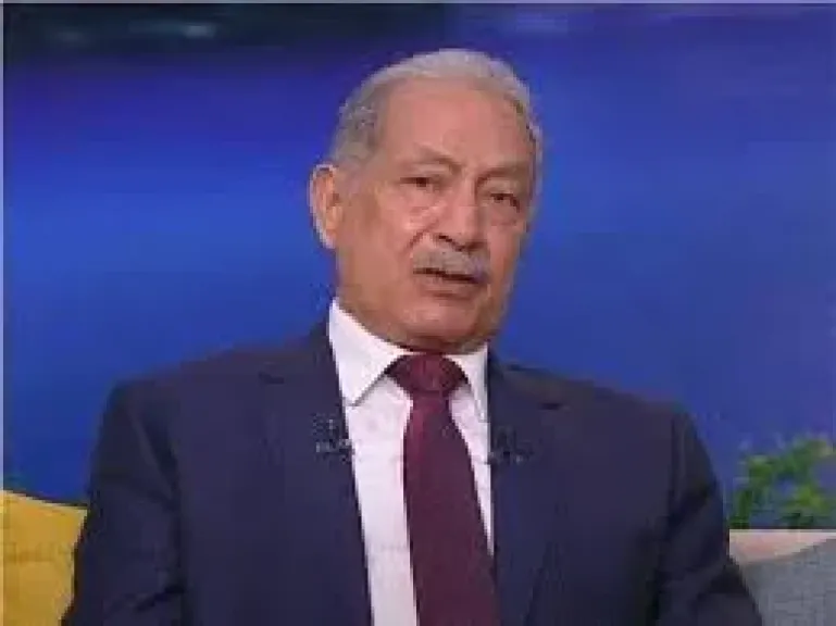 دلالات تعيين نائب لوزير الخارجية للشئون الإفريقية.. نائب رئيس المجلس المصري يوضح