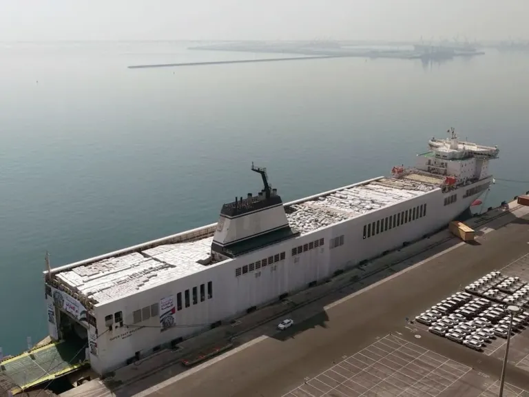 رئيس مجلس إدارة هيئة الهلال الأحمر الإماراتي: المساعدات الإماراتية تصل إلى غزة بالتعاون المستمر مع الدولة المصرية