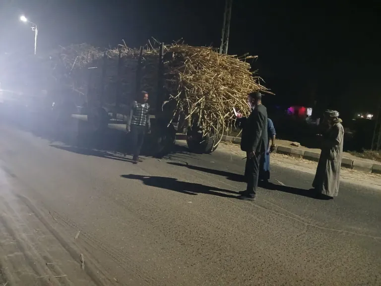 محافظ قنا: ضبط 12 مقطورة محملة قصب السكر مخالفة خلال حملة ليلية بقوص