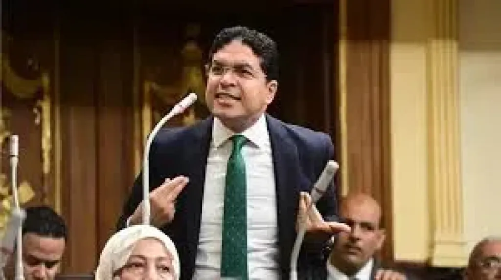 ضياء الدين داود: أوافق للمرة الثانية على قانون سجل المستوردين