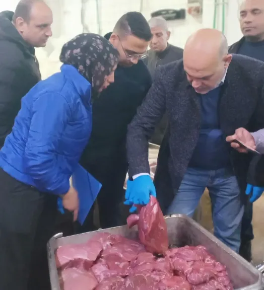 ضبط 5.5 طن لحوم ودواجن فاسدة بالعبور قبل رمضان.. حملة مكبرة لضمان سلامة الغذاء