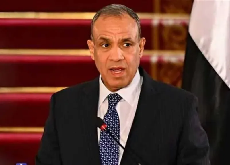 كلمة وزير الخارجية المصري بجلسة مجلس الأمن.. مطالب فورية