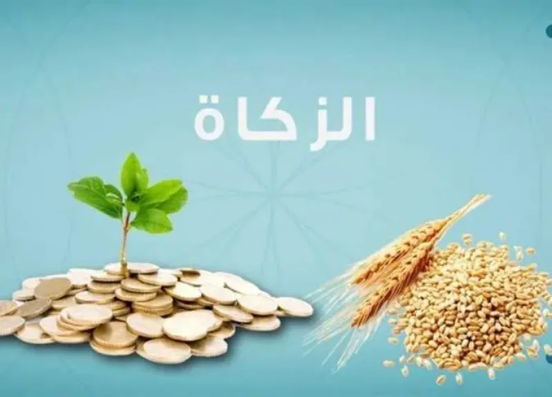 الفرق بين الفدية وزكاة الفطر والحد الأدنى لهما