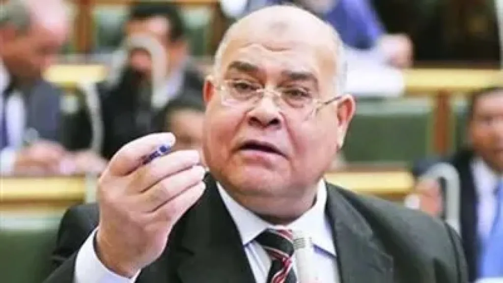 المجالس المحلية المنتخبة مفتاح تحسين الخدمات والتنمية المحلية