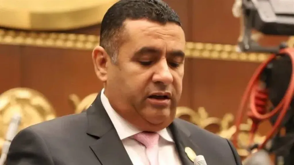 أسامة مدكور: المجالس المحلية ركيزة الإصلاح الإداري في الجمهورية الجديدة