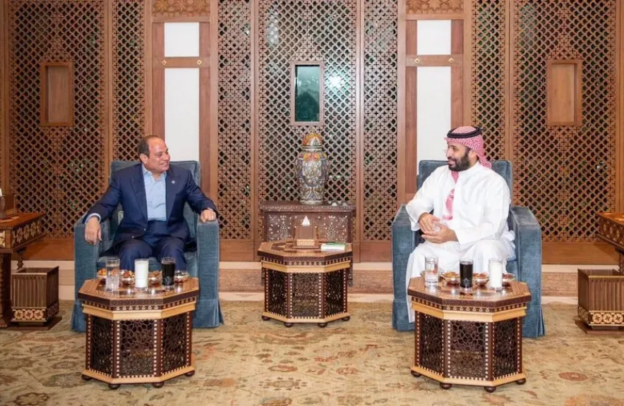 خبيرالقانون الدولي السوري رانيا سبانو : القمة المصرية السعودية رسالة امن وامان للأمة العربية جمعاء