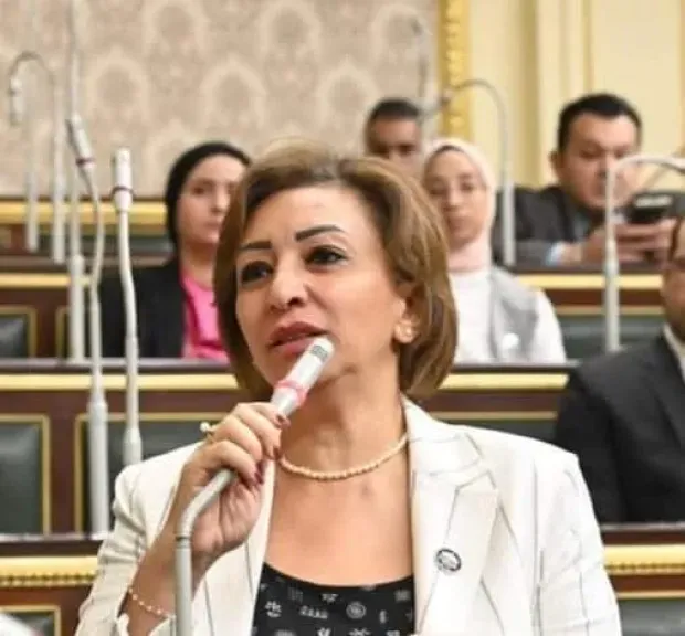 مها عبدالناصر تتقدم بطلب إحاطة بشأن الاعتداء على معلم داخل مدرسة رسمية