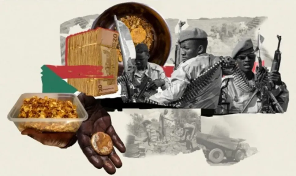 التدخلات الدولية تزيد من تعقيد الحروب منخفضة الحدة في أفريقيا