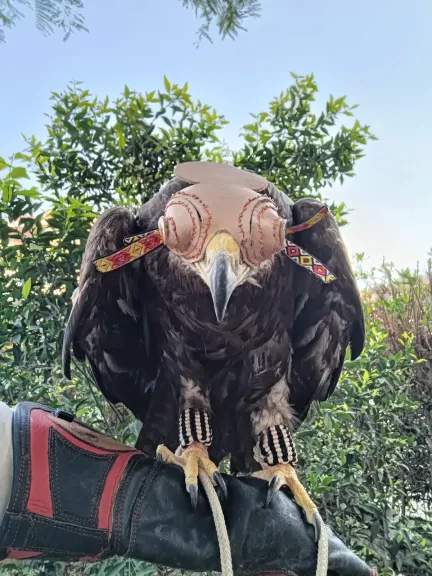 حفاظ على ثروات مصر الطبيعية و تنوعها البيولوجى..  حملة موسعة بسوق الجمعة