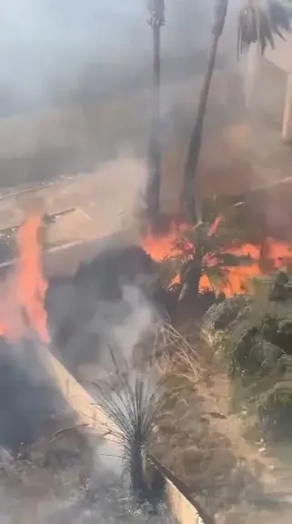 دون إصابات.. السيطرة على حريق نشب داخل 3 أحواش وأشجار نخيل في قنا