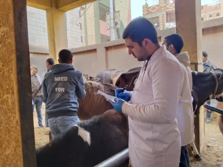 ”الزراعة” تطلق 510 قوافل بيطرية مجانية لخدمة المربين في 506 قرية خلال شهرين