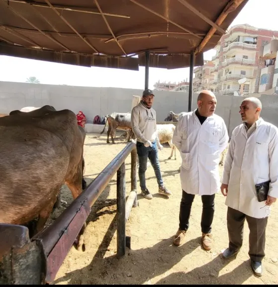 قافلة بيطرية مجانية تعالج أكثر من 1100 حالة حيوانية بقرية ميت كنانة