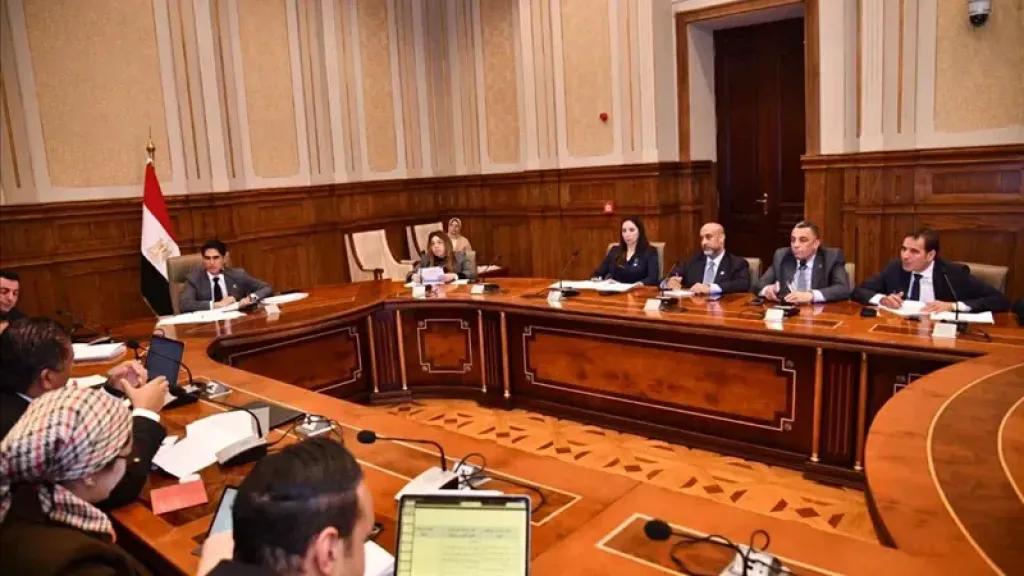 لجنة الشؤون المالية والاقتصادية والاستثمار