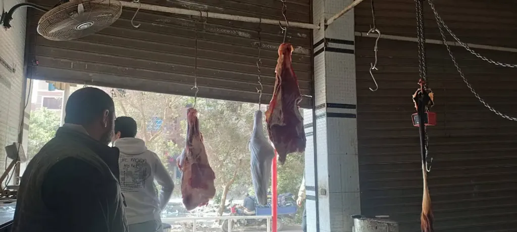 ضبط كبدة بدون بيانات ومخالفات خبز.. حصيلة حملات تموين القليوبية