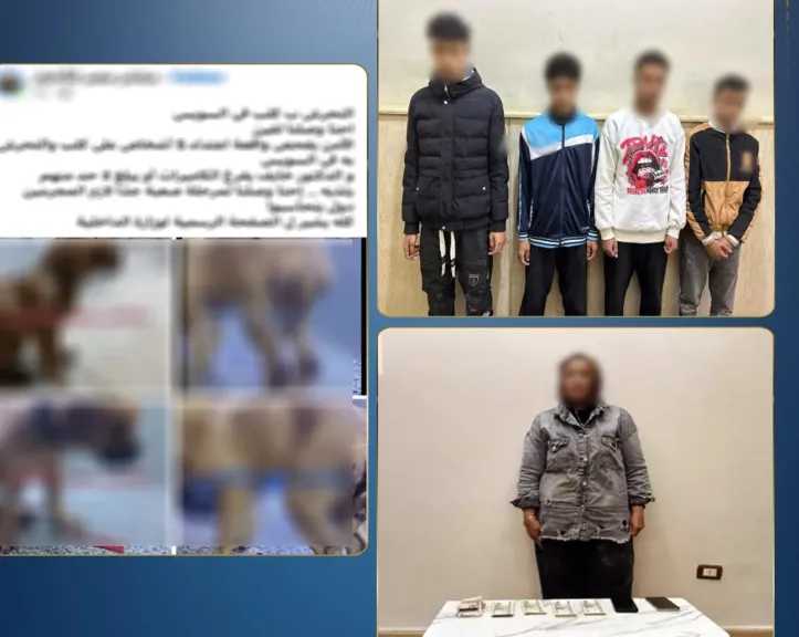 الأمن يكشف حقيقة التعدي غير الأخلاقي على كلب في السويس.. وضبط سيدة نشرت الواقعة لجمع التبرعات