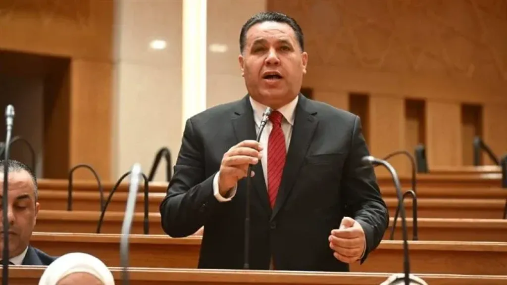 عماد الغنيمي: قرارات الحكومة الاستثنائية تعكس حرص الدولة على تخفيف الأعباء عن المواطنين