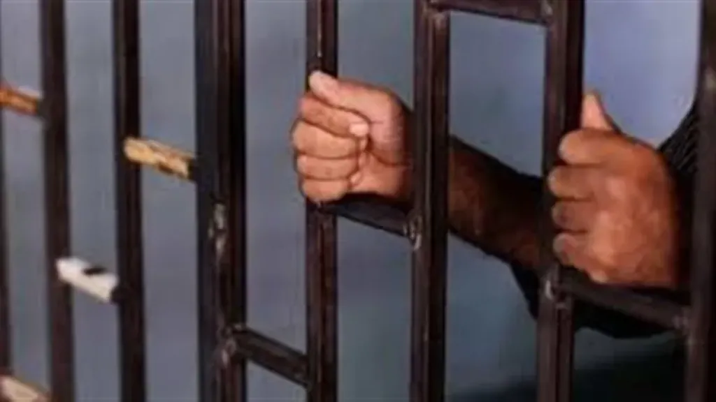 عقوبات رادعة لحماية الرقعة الزراعية.. الحبس والغرامة تنتظر المخالفين