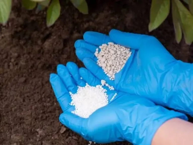 الزراعة: انتظام توزيع الأسمدة المدعمة وتوافر مخزون استراتيجي يكفي احتياجات المزارعين