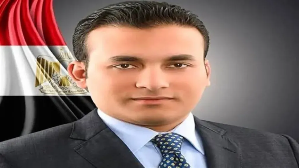 عمرو فهمي يقترح تعديل قانون الأحوال الشخصية لضمان حق الرؤية والنفقة دون اللجوء للقضاء