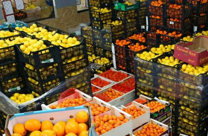 خطة حكومية لزيادة صادرات الحاصلات الزراعية إلى الخليج وسط طلب متزايد على المنتج المصري