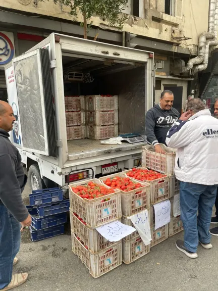 القابضة للصناعات الغذائية: طرح كيلو الطماطم بسعر 21.5 جنيها في المنافذ المتنقلة